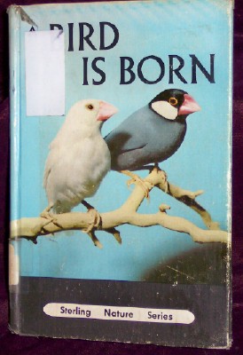 Image for A Bird Is Born