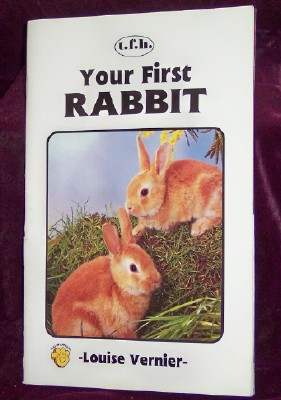 Image for Your First Rabbit