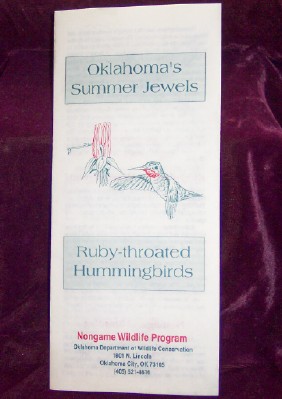 Image for Oklahoma's Summer Jewels; Ruby-throated Hummingbirds