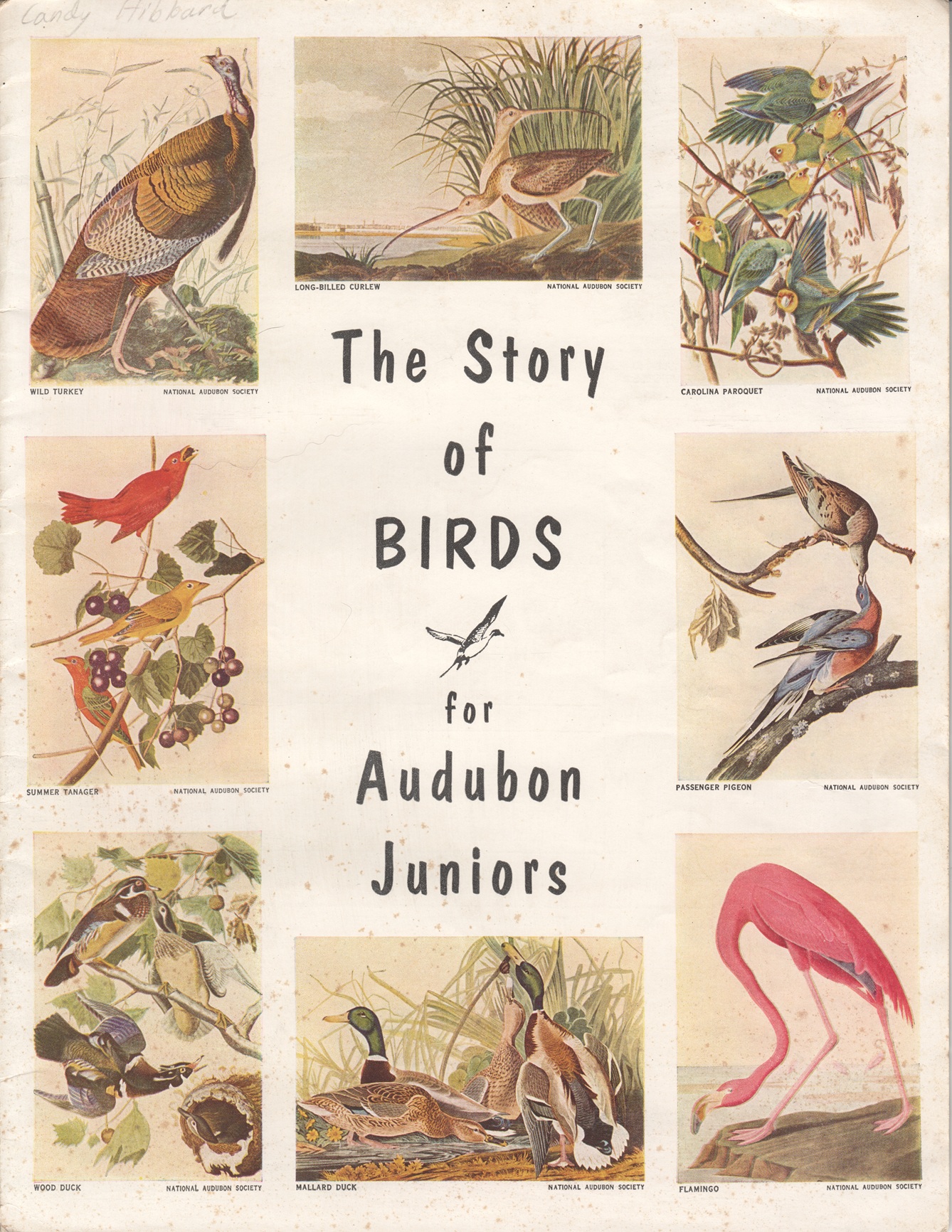 The Story of Birds for Audubon Juniors