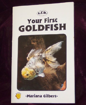 Image for Your First Goldfish