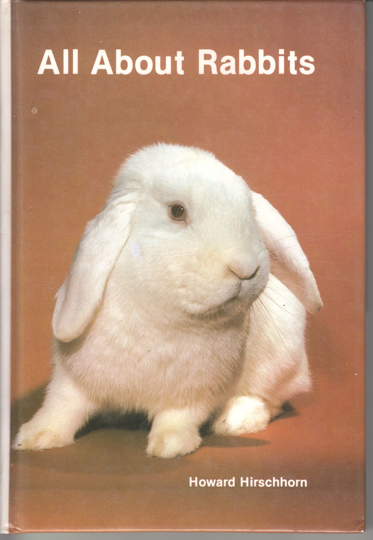 All About Rabbits