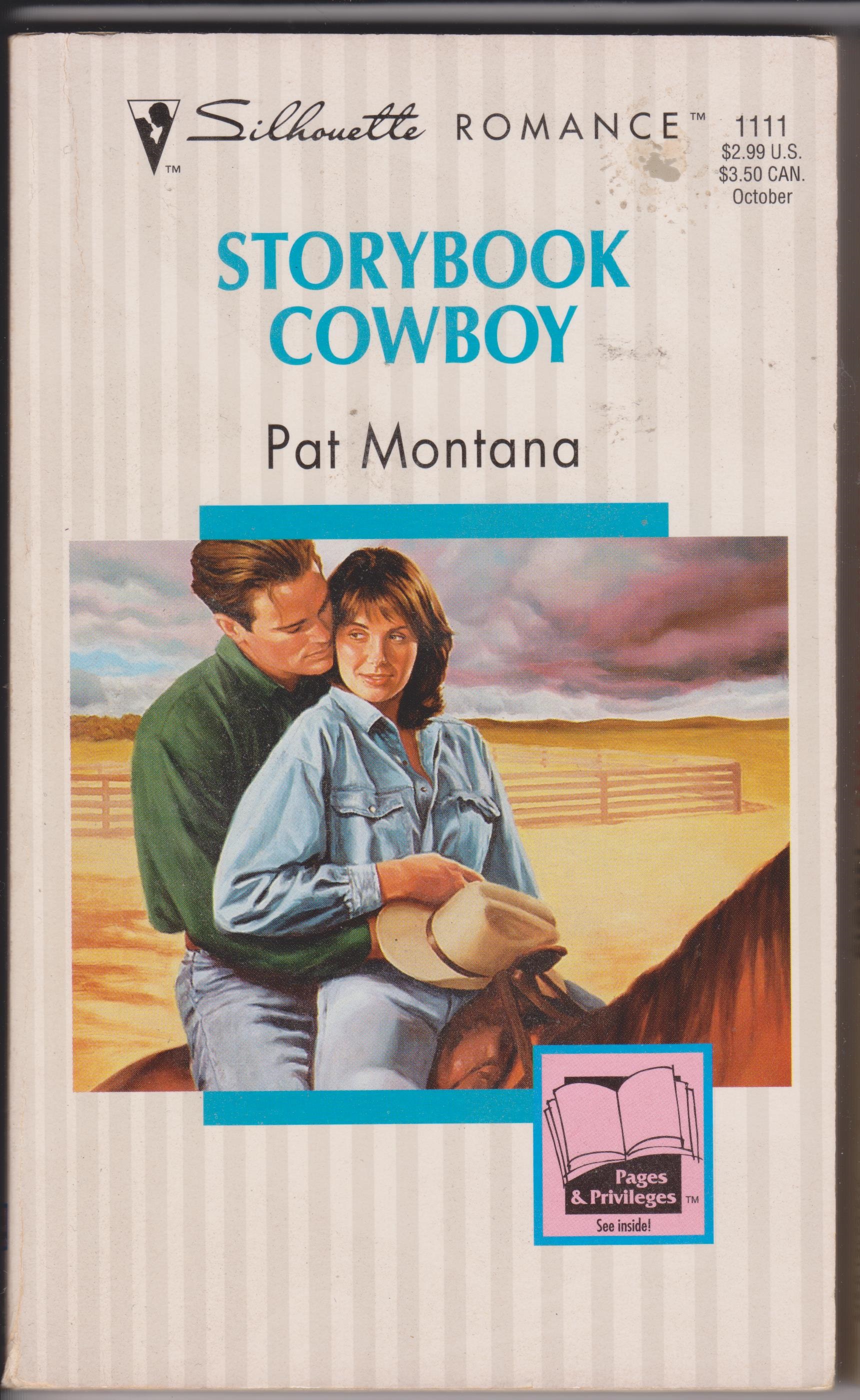 Image for Storybook Cowboy