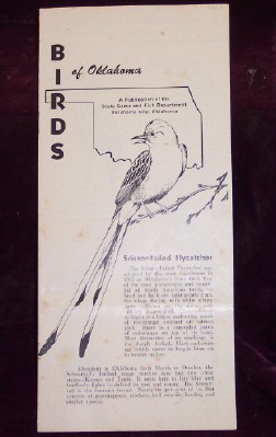 Image for BIRDS of Oklahoma