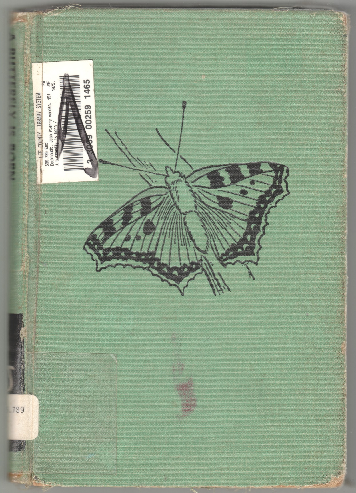 A Butterfly Is Born