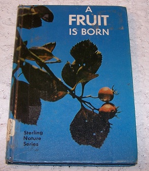 Image for A Fruit Is Born