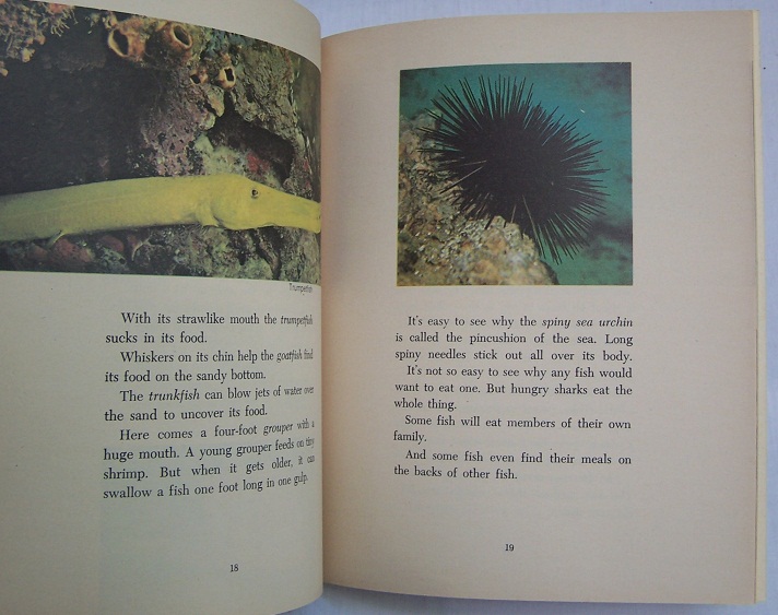 Image for the underwater world of The Coral Reef