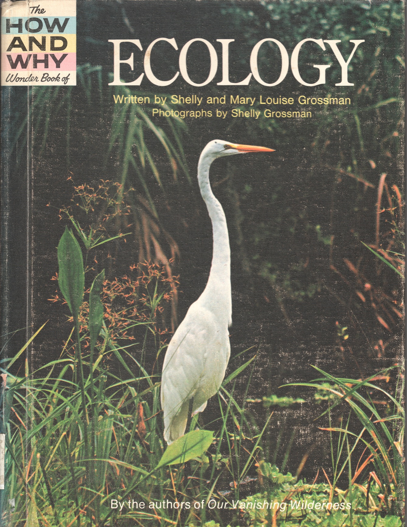 The How and Why Wonder Book of Ecology