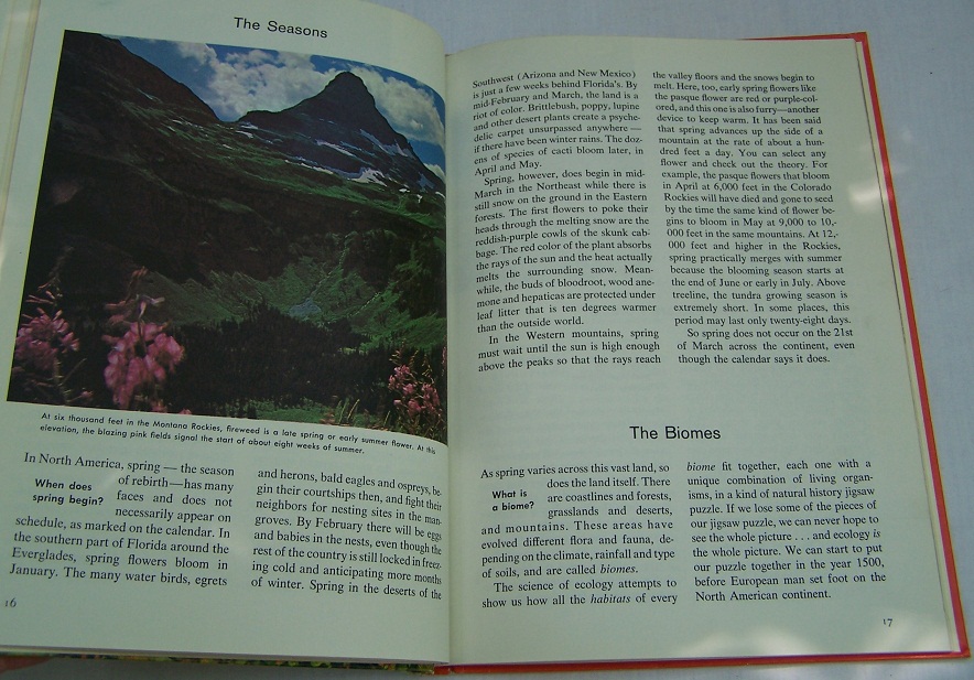 Image for The How and Why Wonder Book of Ecology