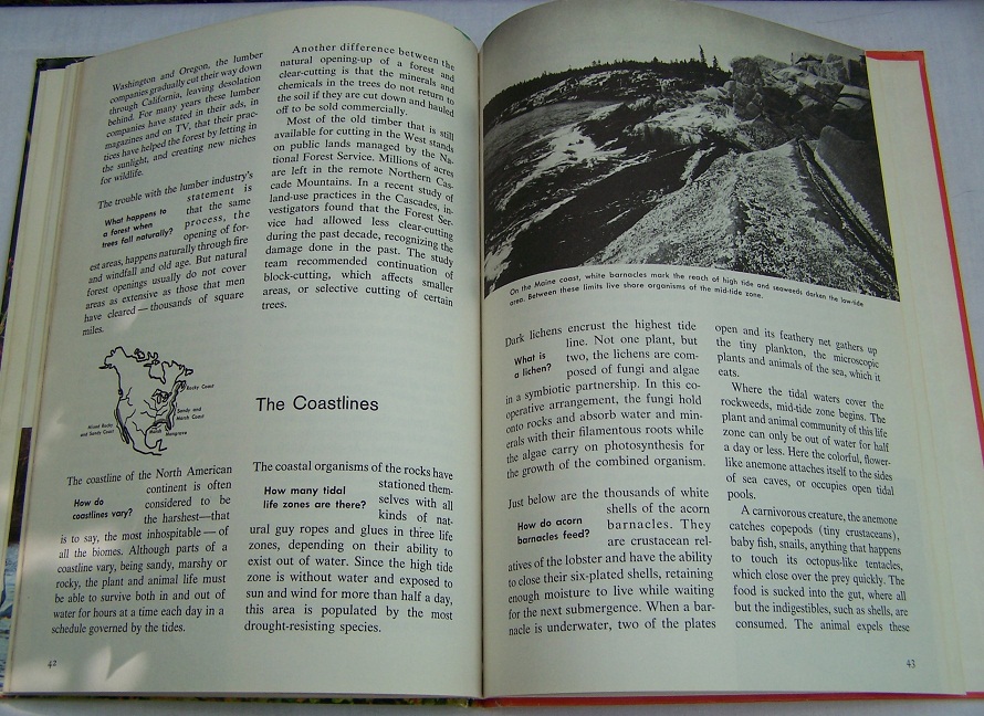 Image for The How and Why Wonder Book of Ecology