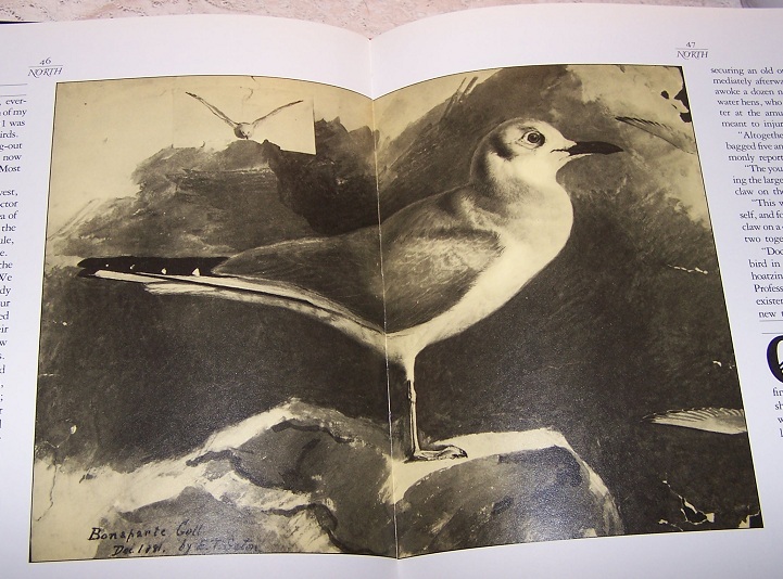 Image for The Worlds of Ernest Thompson Seton, Adventures in the Wild