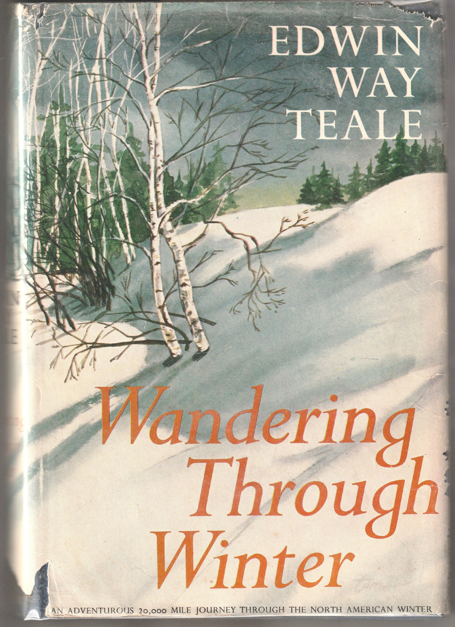 Image for Wandering Through Winter: A Naturalist's record of a 20,000-mile journey through the North American winter with photographs by the author