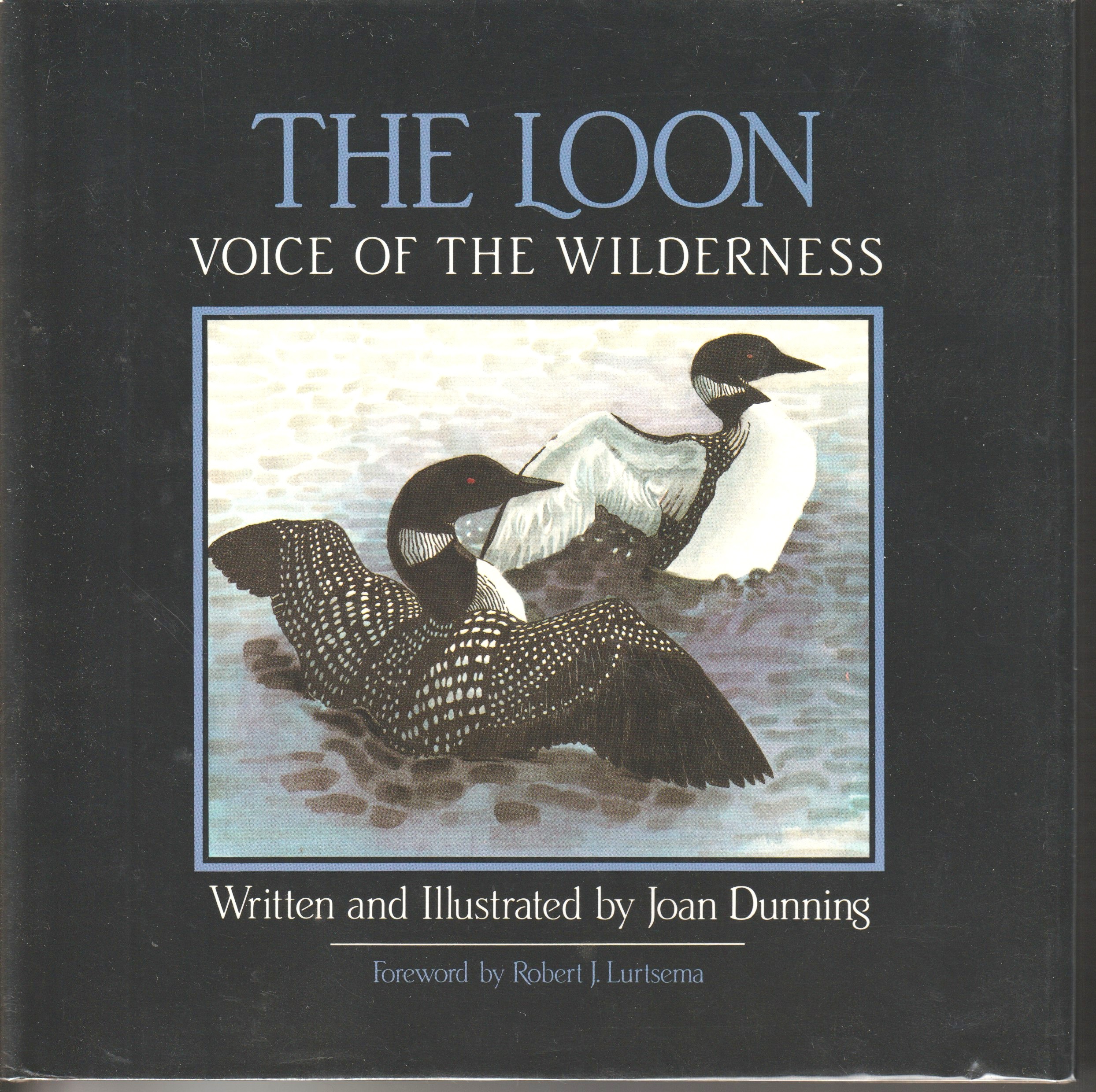 Image for THE LOON, Voice of the wilderness