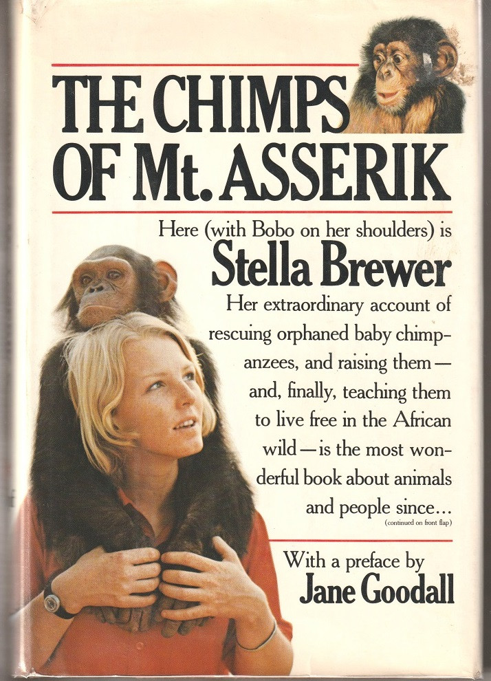 Image for The Chimps of Mt. Asserik