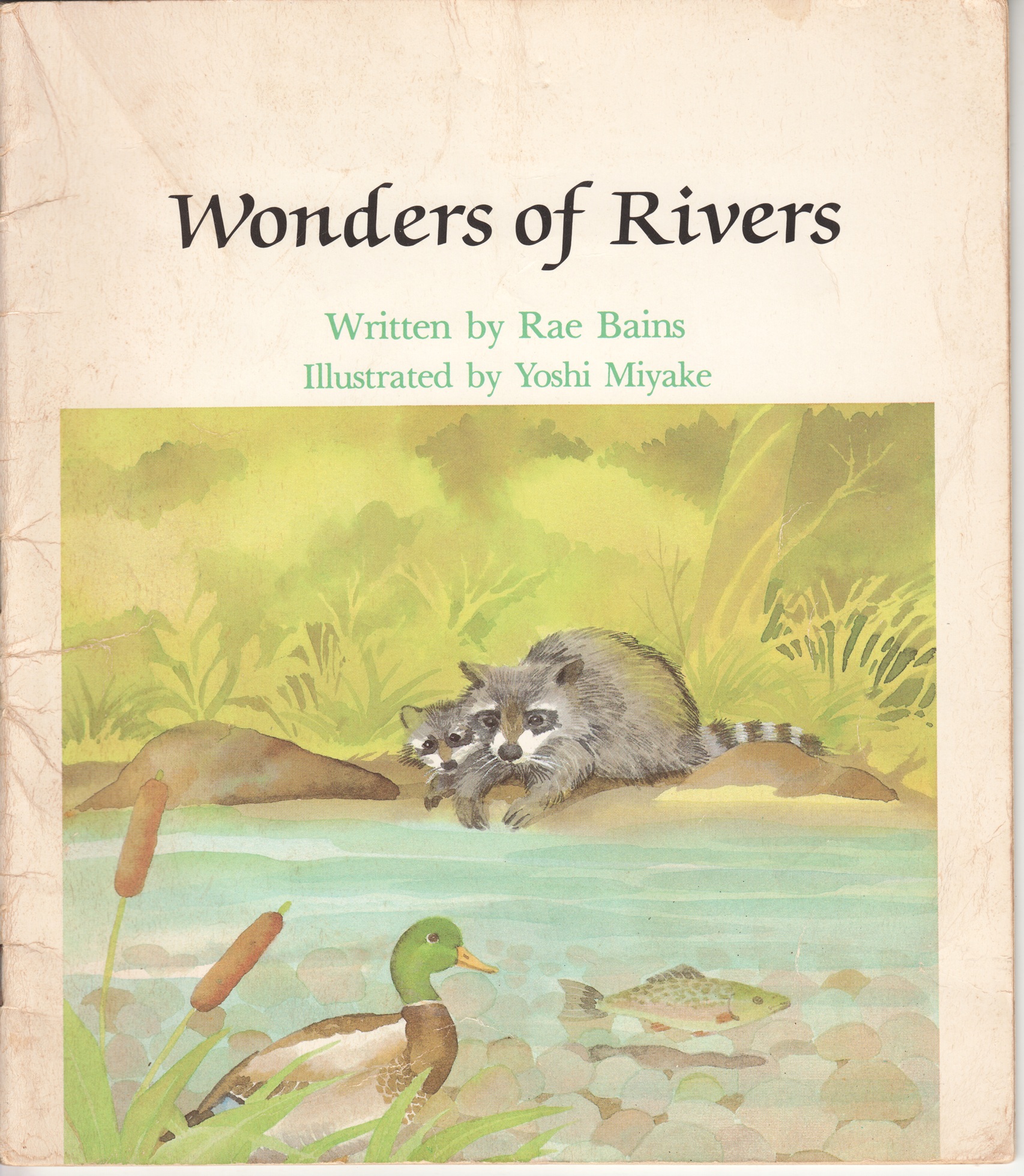 Wonders of Rivers