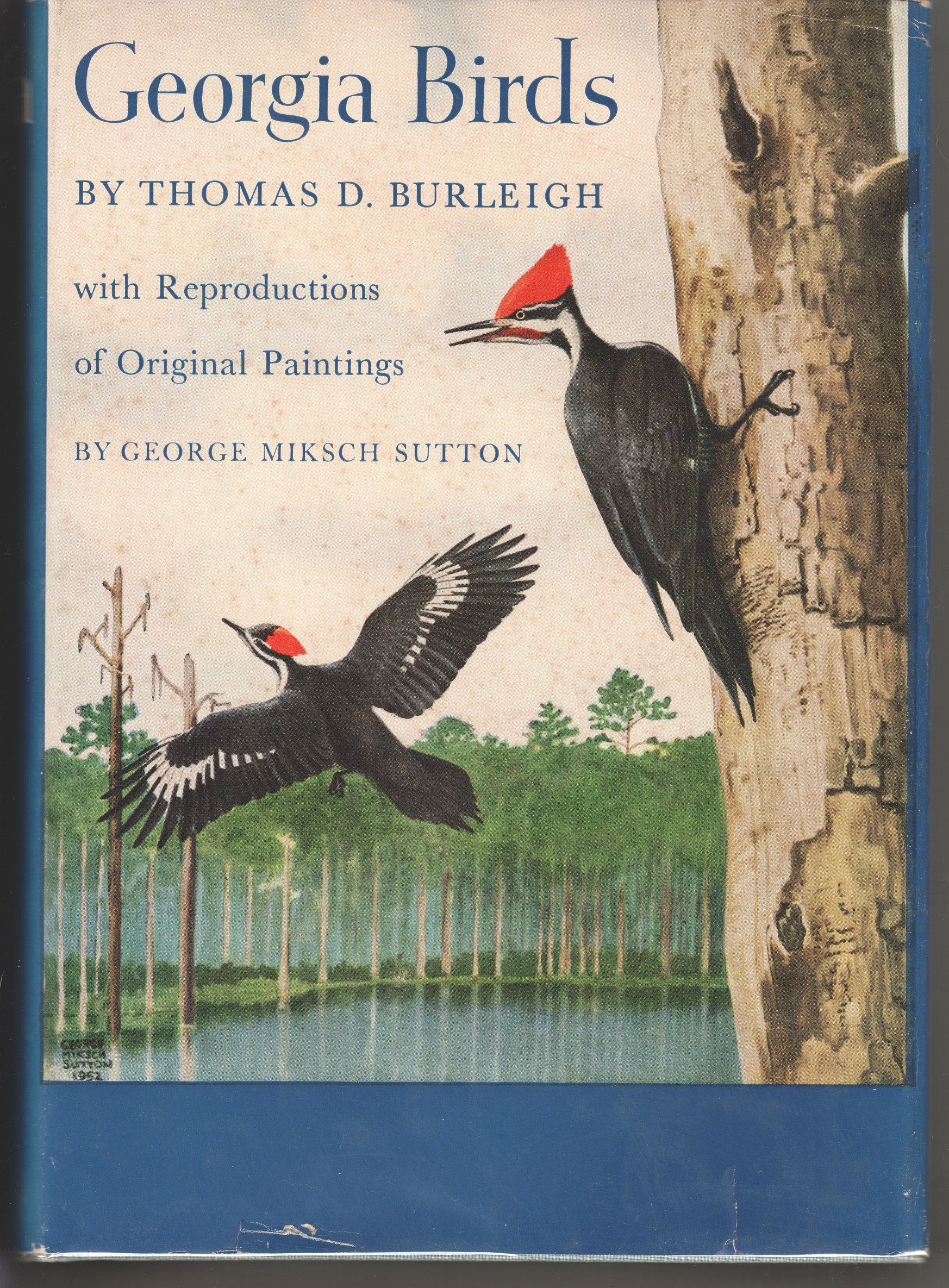 Georgia Birds