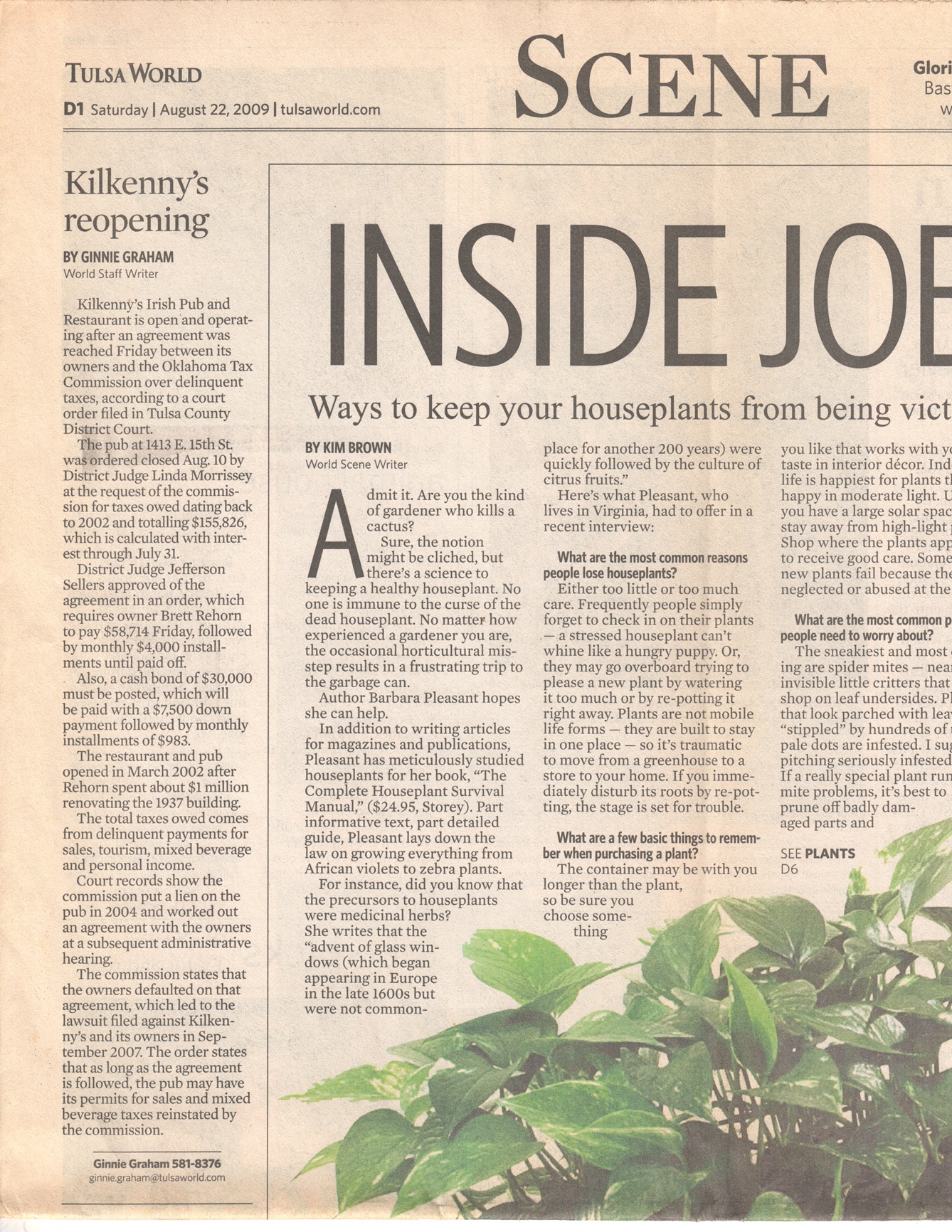 Inside Job; Ways to keep your houseplants from being victims