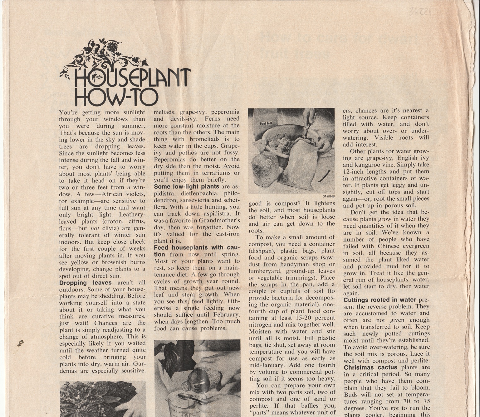 Houseplant How-to