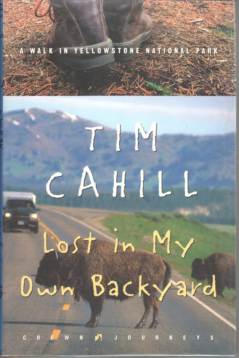 Lost in My Own Backyard, A Walk in Yellowstone National Park