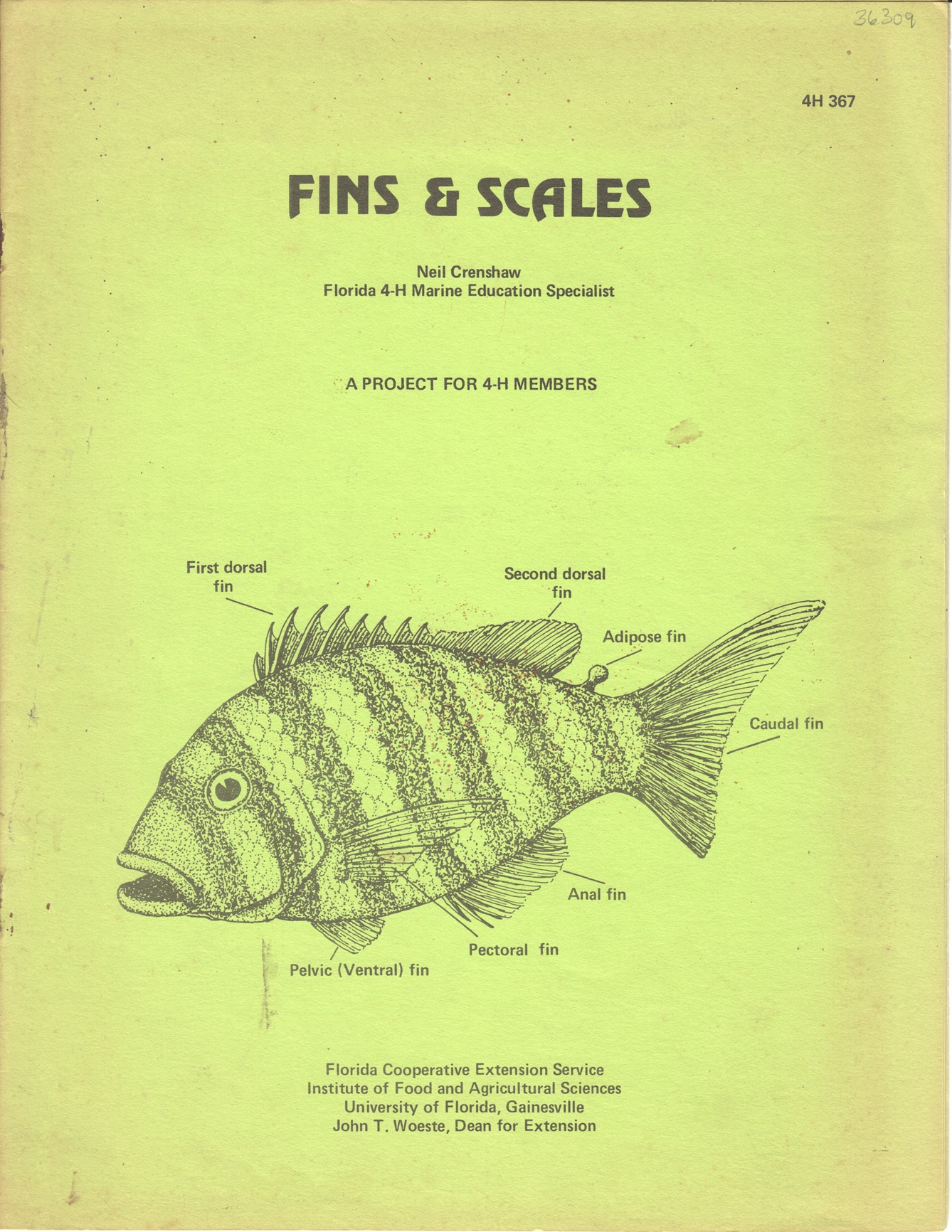 Fins & Scales, A Project For 4-H Members