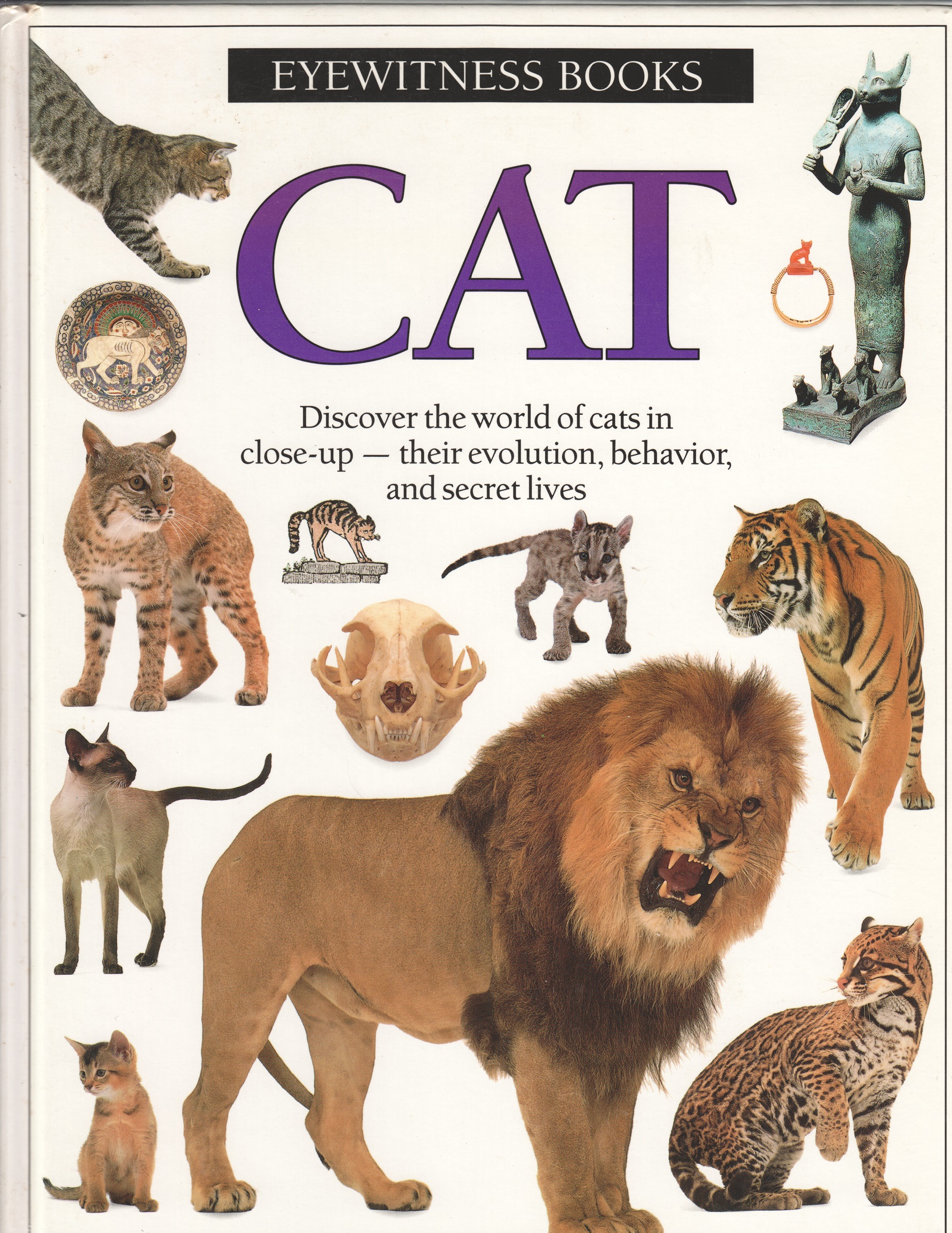 CATS