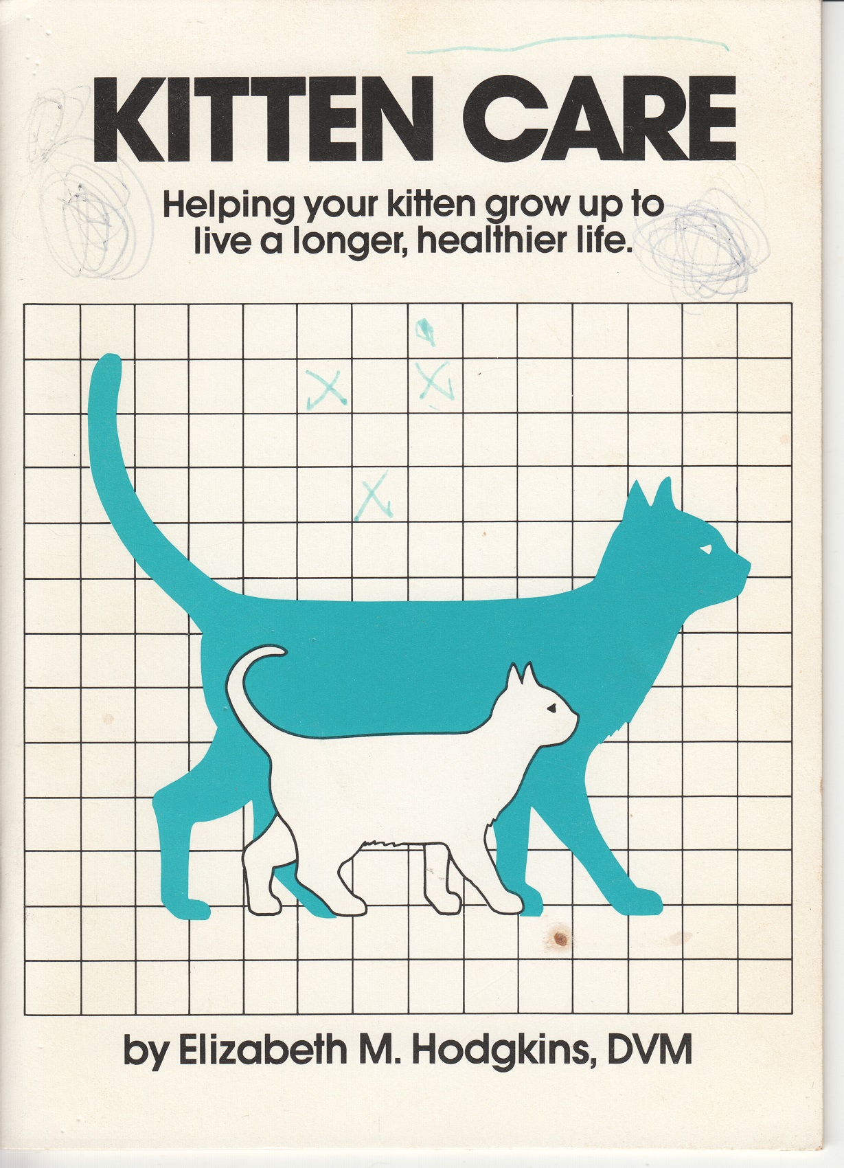 Kitten Care, Helping your kitten grow up to live a longer, healthier life.
