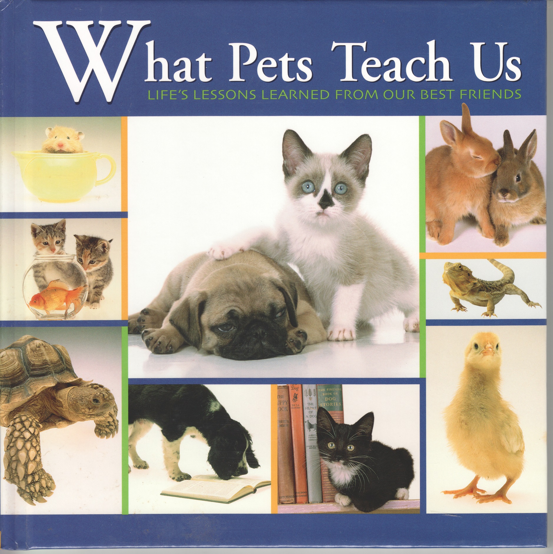 What Pets Teach Us