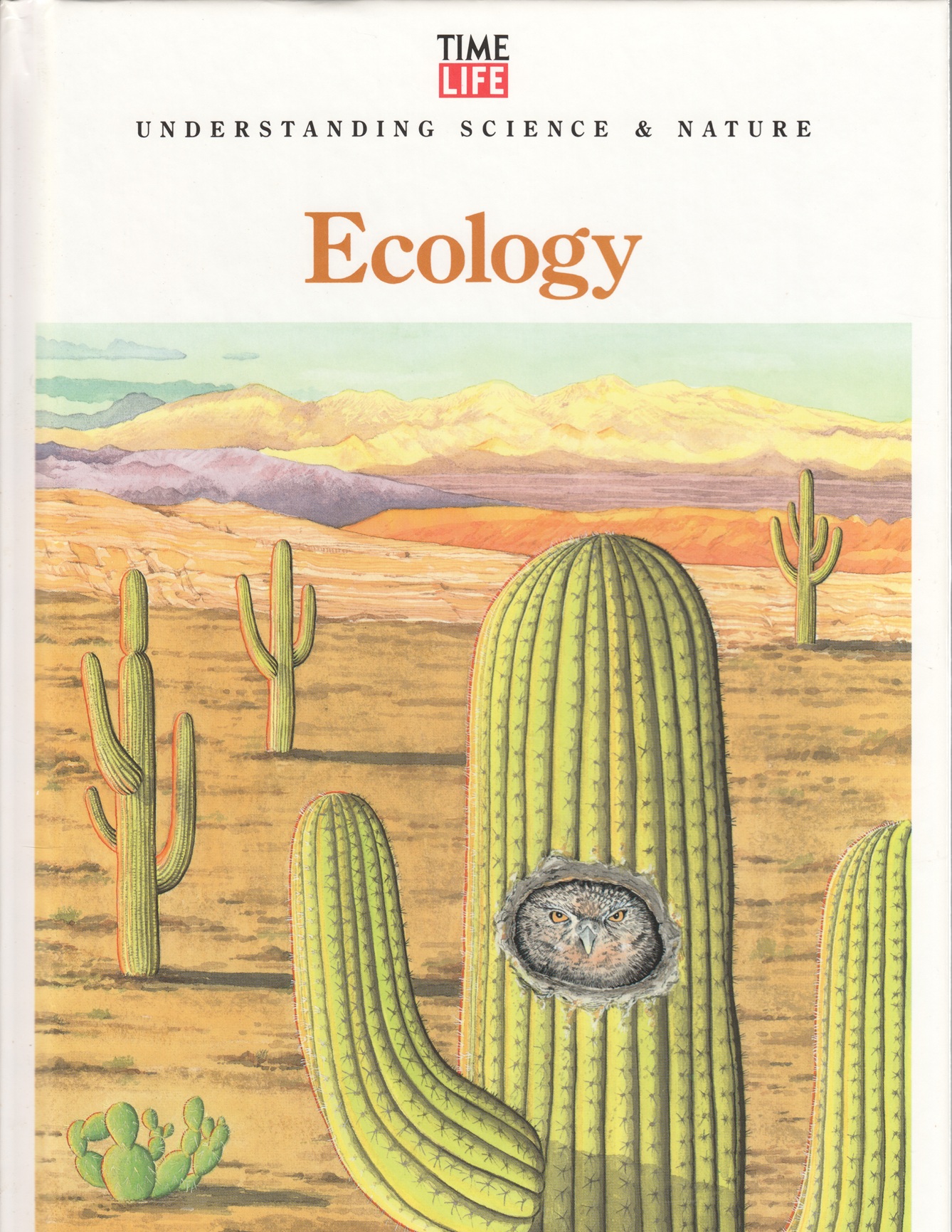 Image for Ecology, Understanding Science and Nature Ecology, Understanding Science and Nature