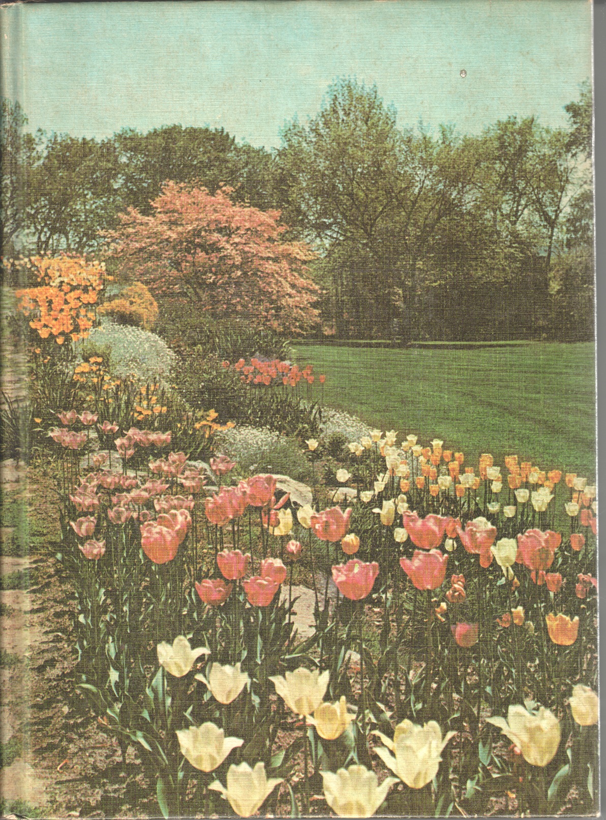 Image for New Illustrated Encyclopedia of Gardening, Volume two - Art-Cat New Illustrated Encyclopedia of Gardening, Volume two - Art-Cat