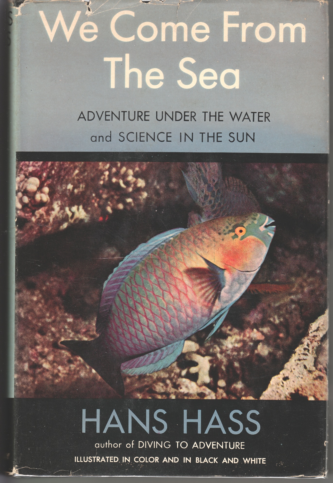 We Come From The Sea