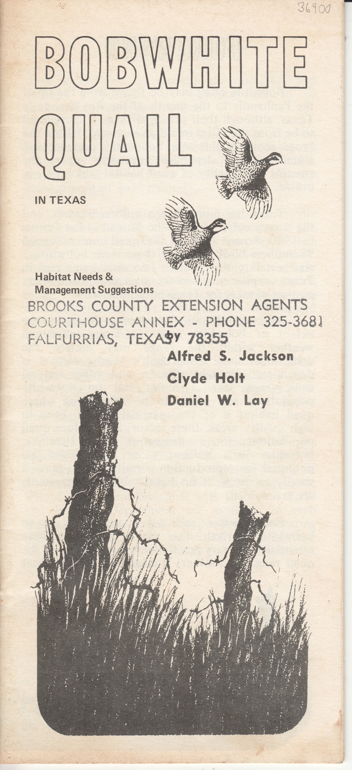 Bobwhite Quail in Texas, Habitat needs & Management Suggestions