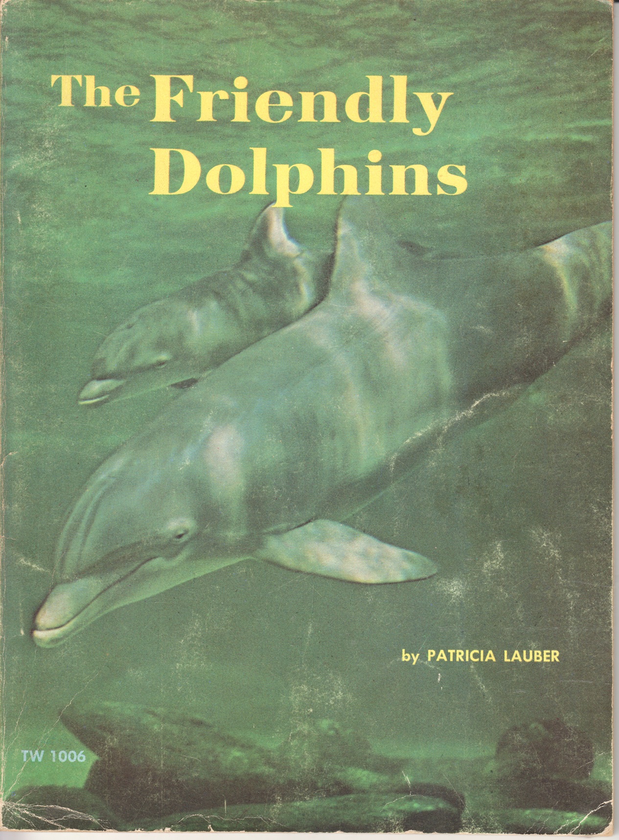 The Friendly Dolphins