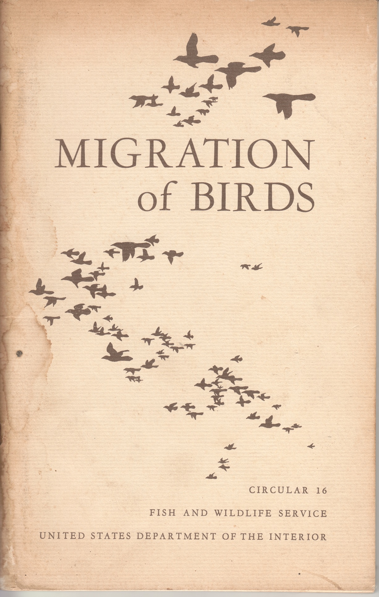 Image for Migration of Birda, Circular 16, Fish and Wildlife Service, United States Department of the Interior Migration of Birda, Circular 16, Fish and Wildlife Service, United States Department of the Interior