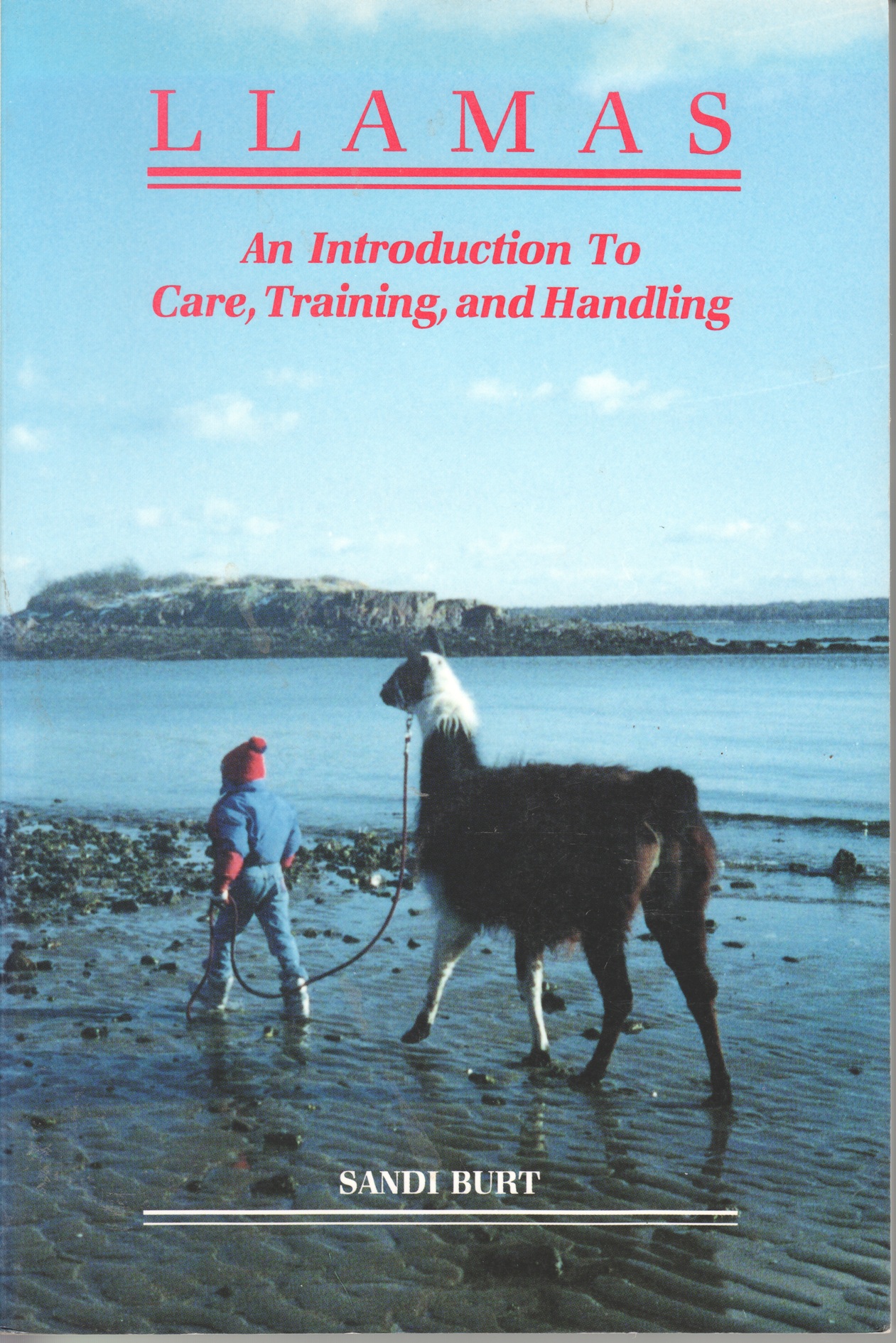 Llamas, An Introduction To Care, Training, and Handling