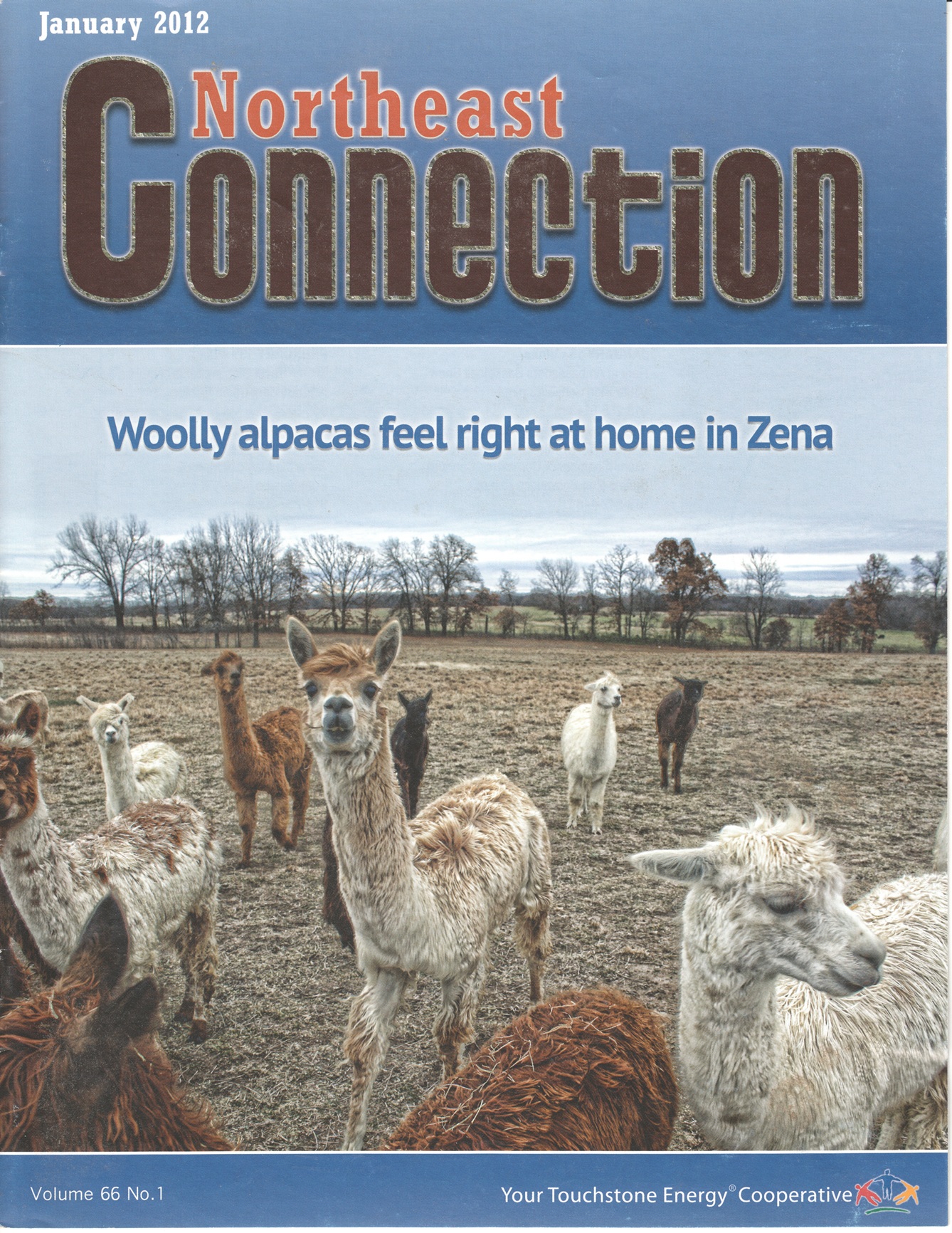 Northeast Connection, January 2012, Volume 66 No. 1; Woolly alpacas feel right at home in Zena