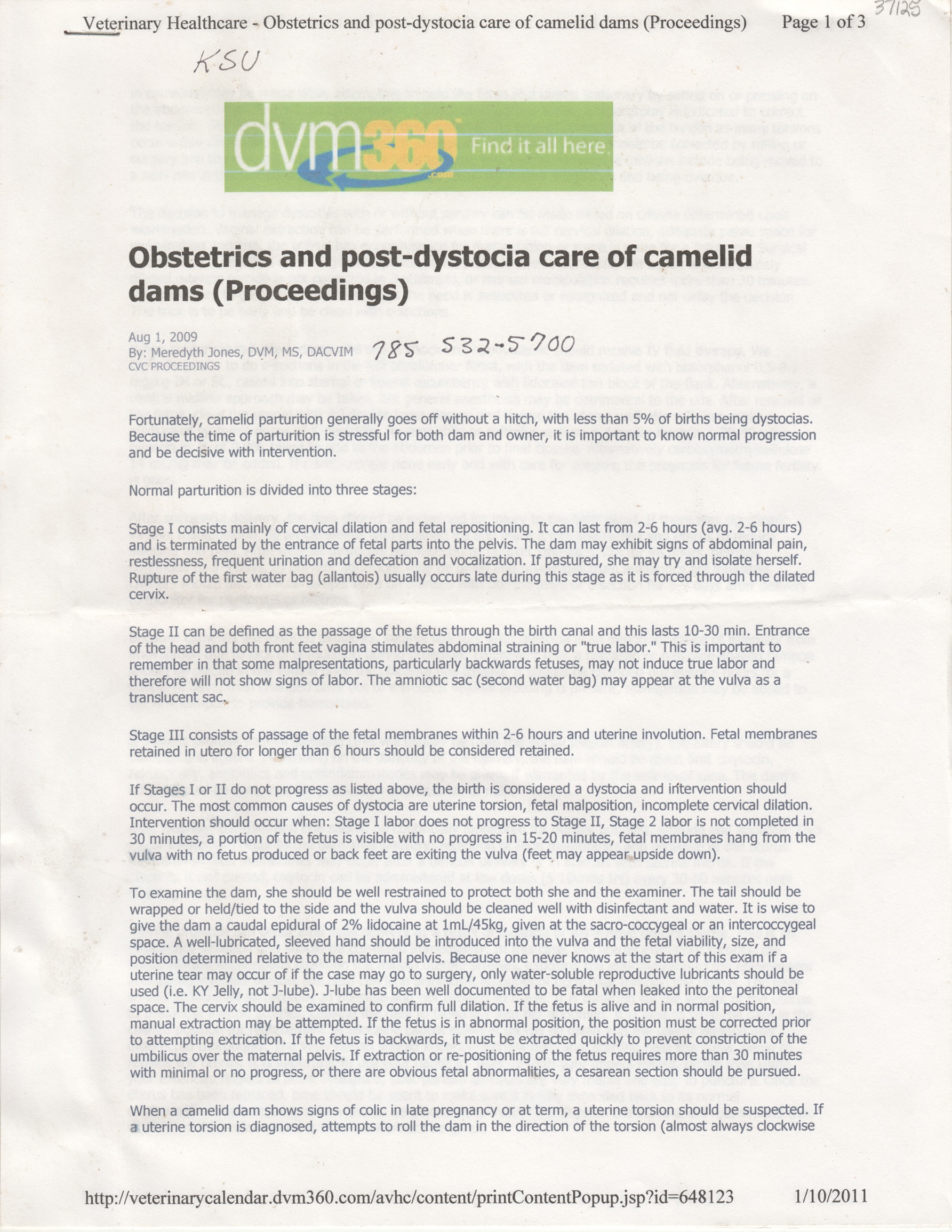 Obstetrics and post-dystocia care of camelid dams (Proceedings)