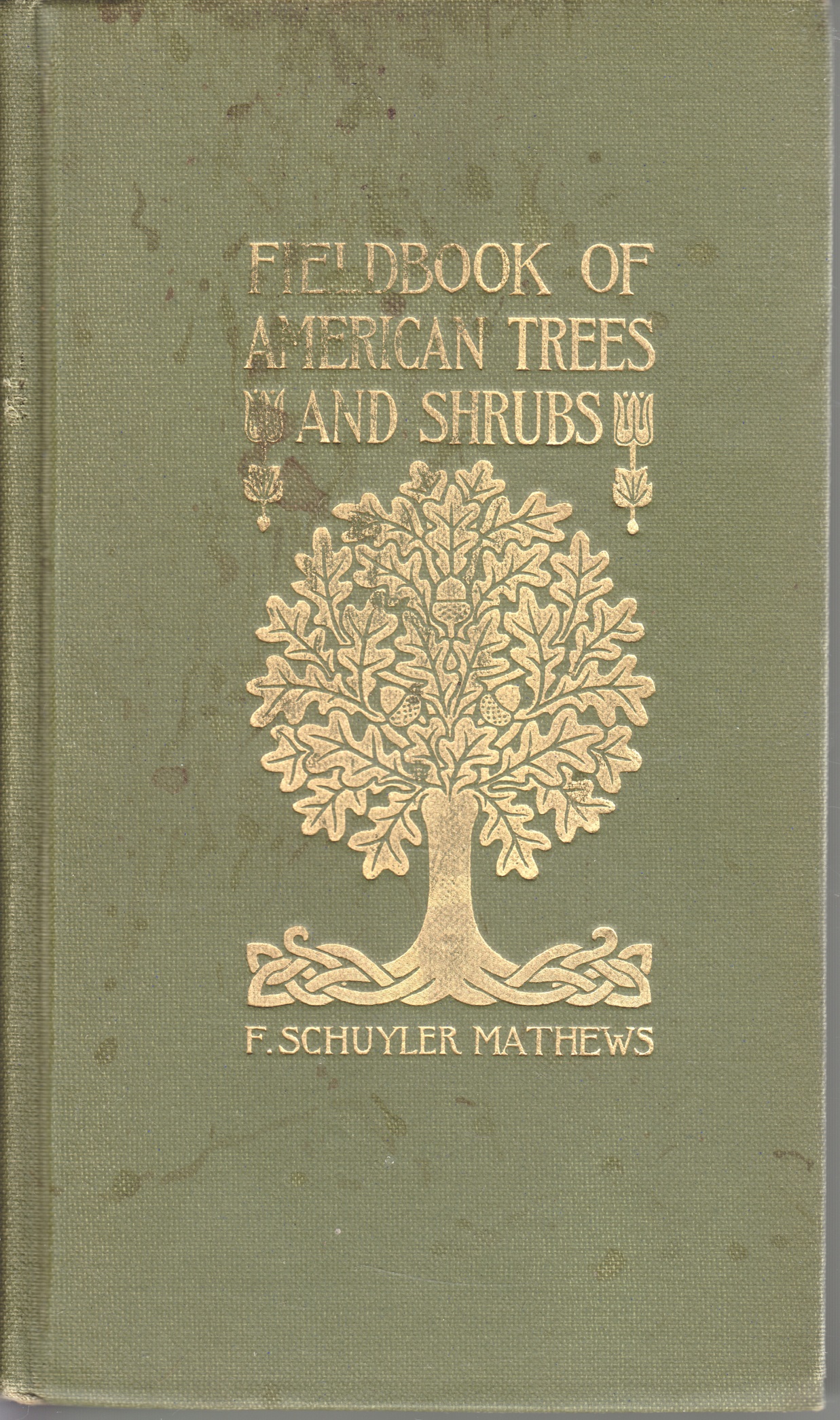 Field Book of American Trees and Shrubs, A Concise Descriptiomn of the Character and Color of Species common Throughout the United States, Together with Maps Showing Their general Distribution