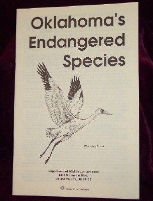 Image for Oklahoma's Endangered Species