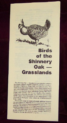 Image for Birds of the Shinnery Oak - Grasslands