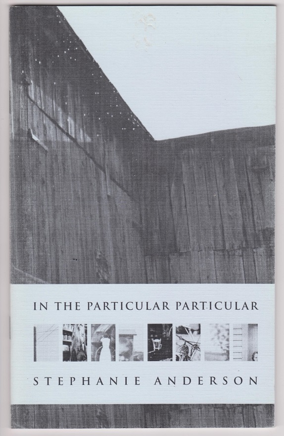 Image for In The Particular Particular