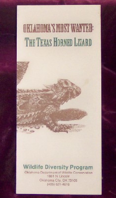 Image for Oklahoma's Most Wanted: The Texas Horned Lizard