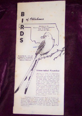 Image for BIRDS of Oklahoma